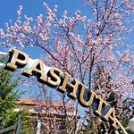 Pashuta