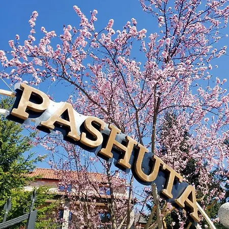 Pashuta